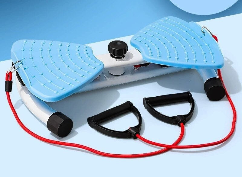 Fitness Twist Machine