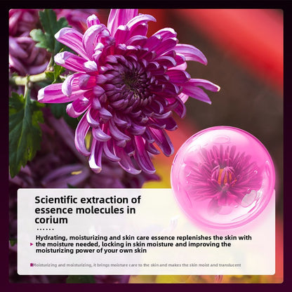 Hydrating Facial Skincare Five-Piece Set