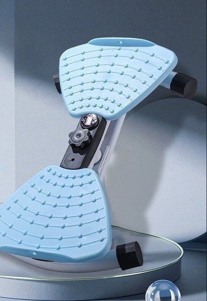 Fitness Twist Machine